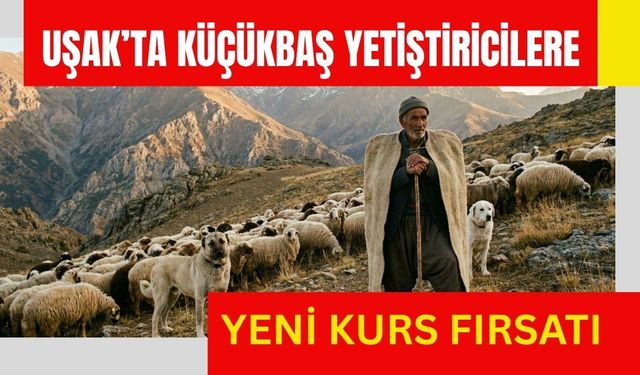 Uşak’ta Küçükbaş Yetiştiricilere Yeni Kurs Fırsatı