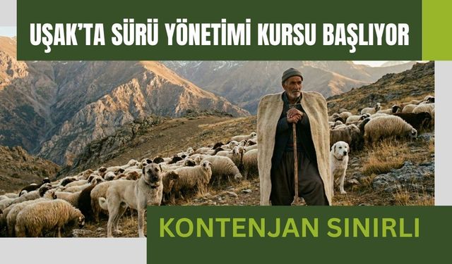 Uşak’ta Sürü Yönetimi Kursu Başlıyor: Kontenjan Sınırlı