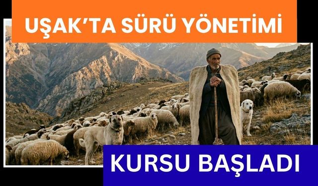 Uşak’ta Sürü Yönetimi Kursu Başladı