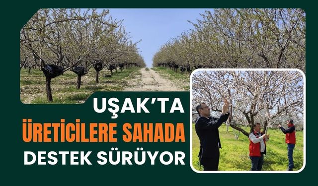 Uşak’ta Üreticilere Sahada Destek Sürüyor