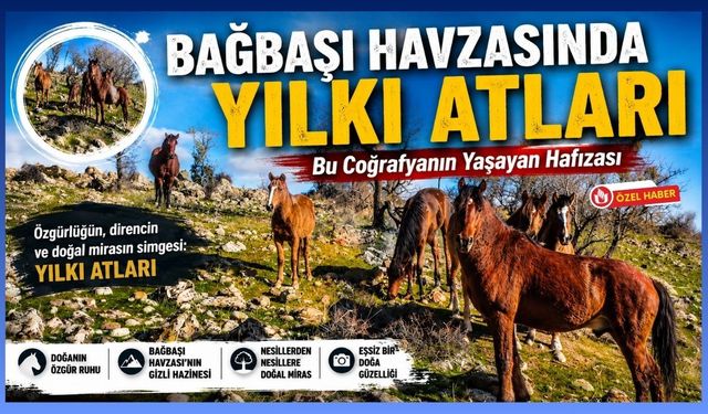 Bağbaşı Havzasında “Yılkı Atları”, Bu Coğrafyanın Yaşayan Hafızası