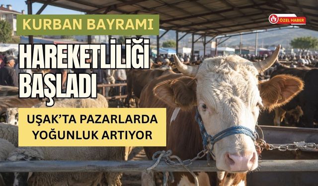 Kurban Bayramı Hareketliliği Başladı, Uşak’ta Pazarlarda Yoğunluk Artıyor