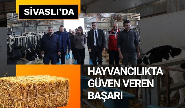 Sivaslı’da Hayvancılıkta Güven Veren Başarı: “Hastalıktan Ari İşletme” Sayısı 5’e Yükseldi
