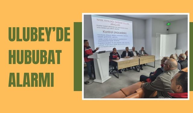 Ulubey’de Hububat Alarmı: Üreticilere Sahada Mücadele Uyarısı