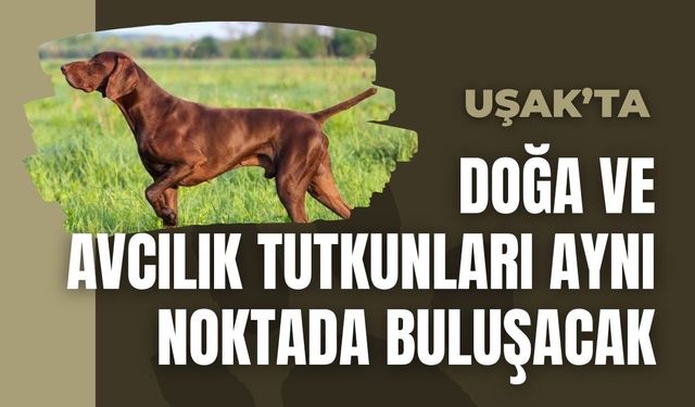Uşak’ta Doğa ve Avcılık Tutkunları Aynı Noktada Buluşacak