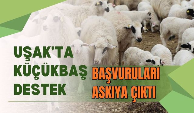 Uşak’ta Küçükbaş Destek Başvuruları Askıya Çıktı