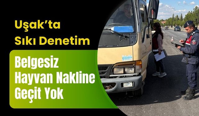 Uşak’ta Sıkı Denetim: Belgesiz Hayvan Nakline Geçit Yok
