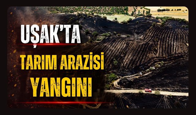 Uşak'ta Tarım Arazisi Yangını Kontrol Altına Alındı