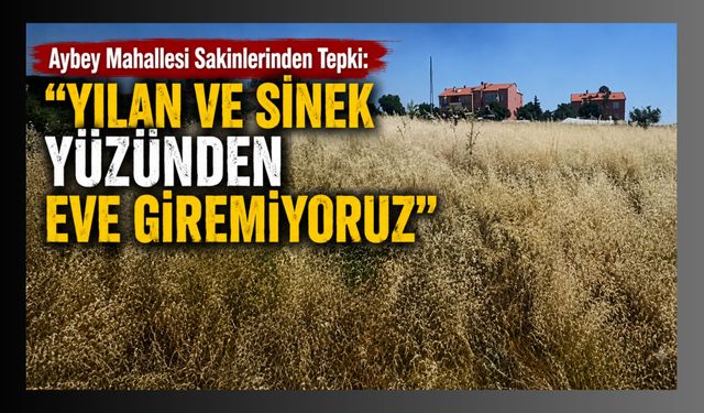 Aybey Mahallesi Sakinlerinden Tepki: “Yılan ve Sinek Yüzünden Eve Giremiyoruz"