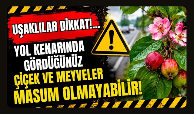 DİKKAT!.. Yol Kenarında Gördüğünüz Çiçek ve Meyveler Masum Olmayabilir!