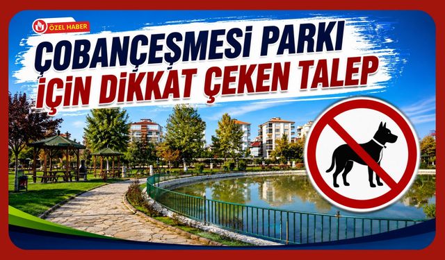 Çobançeşmesi Parkı İçin Dikkat Çeken Talep, Köpek Gezdirilmesine Düzenleme İstendi