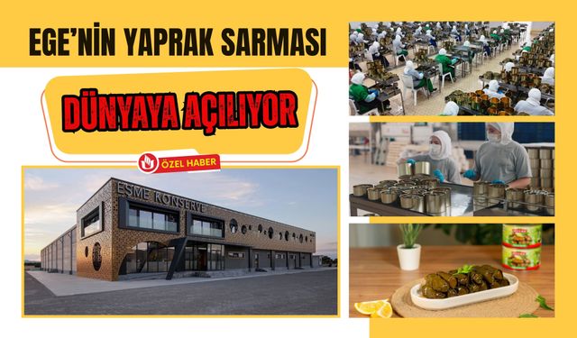 Ege’nin Yaprak Sarması Dünyaya Açılıyor: Uşaklı Firma İhracatta Dikkat Çekiyor