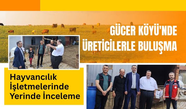 Gücer Köyü'nde Üreticilerle Buluşma, Hayvancılık İşletmelerinde Yerinde İnceleme
