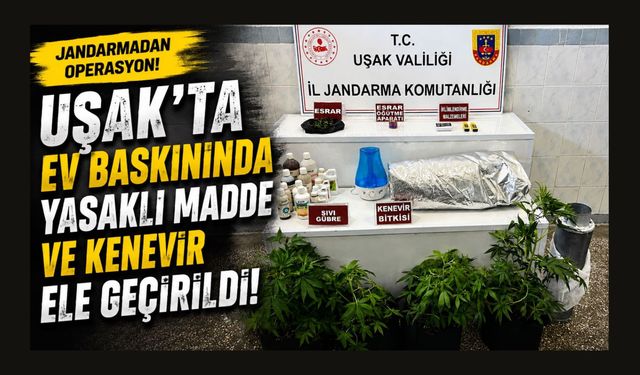 Uşak'ta Ev Baskınında Yasaklı Madde ve Kenevir Ele Geçirildi