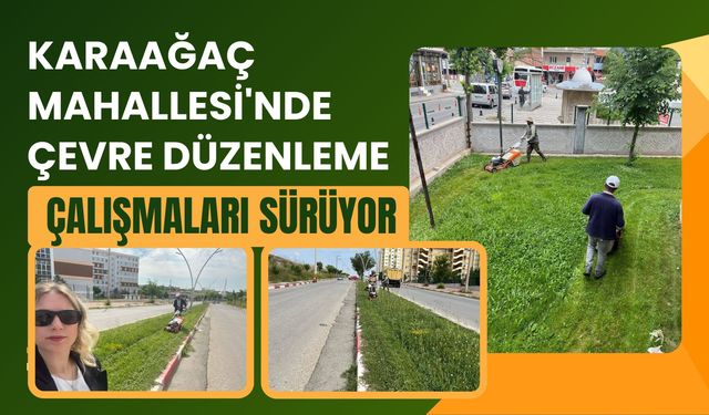 Karaağaç Mahallesi'nde Çevre Düzenleme Çalışmaları Sürüyor