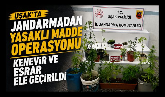 Uşak'ta Jandarmadan Yasaklı Madde Operasyonu, Kenevir ve Esrar Ele Geçirildi
