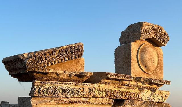 Yaşam