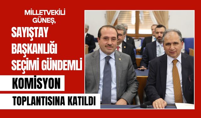 Milletvekili Güneş, Sayıştay Başkanlığı Seçimi Gündemli Komisyon Toplantısına Katıldı