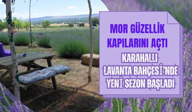 Mor Güzellik Kapılarını Açtı, Karahallı Lavanta Bahçesi’nde Yeni Sezon Başladı