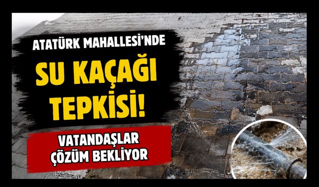 Atatürk Mahallesi'nde Su Kaçağı Tepkisi! Vatandaşlar Çözüm Bekliyor
