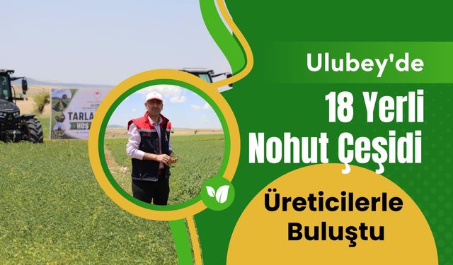 Ulubey'de 18 Yerli Nohut Çeşidi Üreticilerle Buluştu
