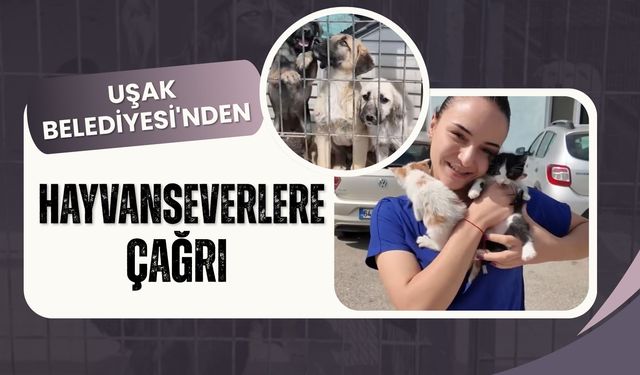 Uşak Belediyesi'nden Hayvanseverlere Çağrı: "Satın Almayın, Sahiplenin"