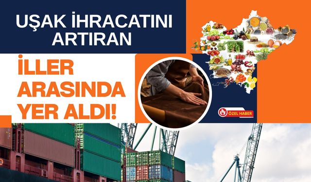 Uşak İhracatını Artıran İller Arasında Yer Aldı! İlk 5 Ayda 166 Milyon Dolarlık Dış Satım