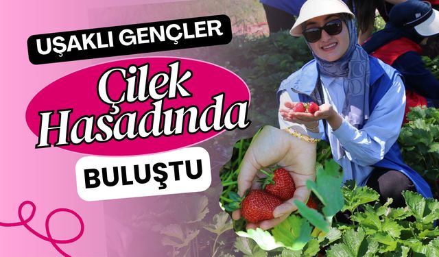 Uşaklı Gençler Çilek Hasadında Buluştu