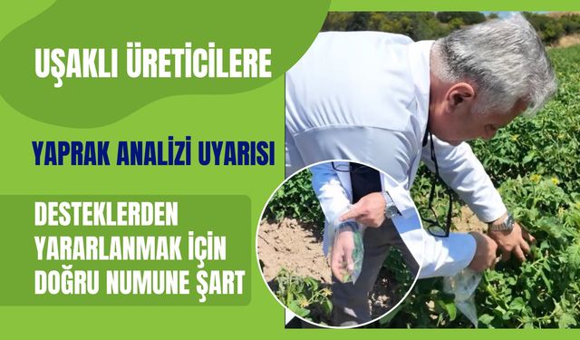 Uşaklı Üreticilere Yaprak Analizi Uyarısı, Desteklerden Yararlanmak İçin Doğru Numune Şart