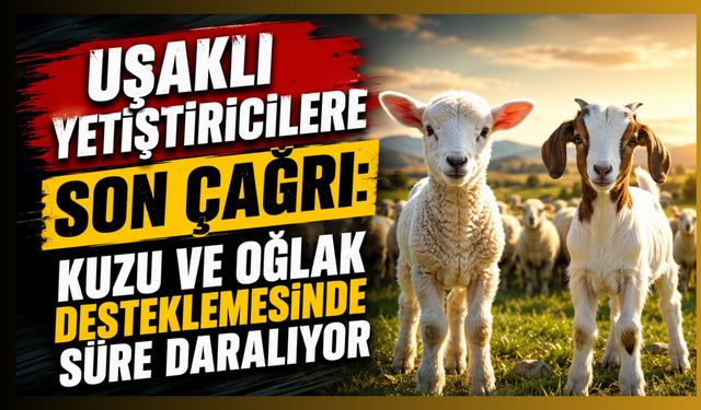 Uşaklı Yetiştiricilere Son Çağrı: Kuzu ve Oğlak Desteklemesinde Süre Daralıyor