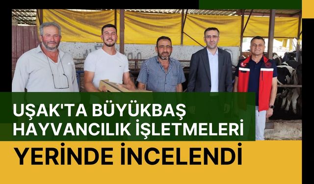 Uşak'ta Büyükbaş Hayvancılık İşletmeleri Yerinde İncelendi