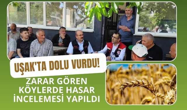 Uşak'ta Dolu Vurdu! Zarar Gören Köylerde Hasar İncelemesi Yapıldı