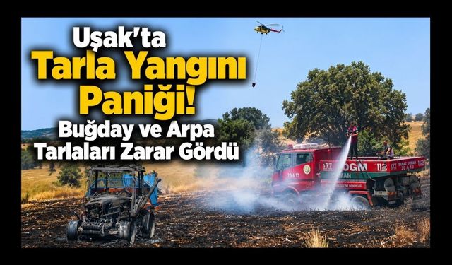 Uşak'ta Buğday ve Arpa Tarlaları Zarar Gördü