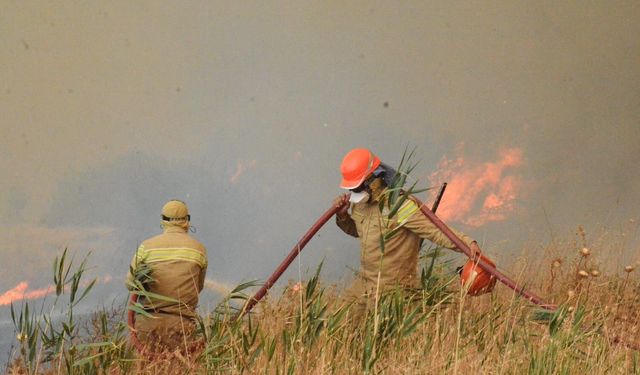 OGM'den Kritik Uyarı: Önümüzdeki 4 Gün Orman Yangını Riski Zirvede