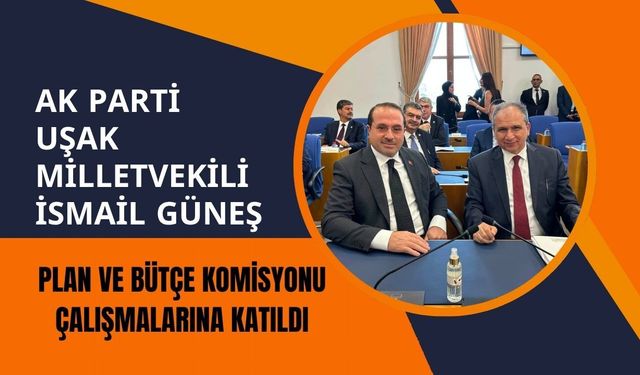 AK Parti Uşak Milletvekili İsmail Güneş, Plan ve Bütçe Komisyonu Çalışmalarına Katıldı