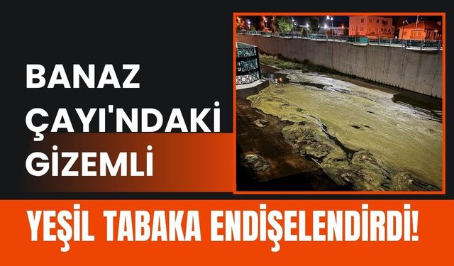 Banaz Çayı'ndaki Gizemli Yeşil Tabaka Endişelendirdi! Vatandaşlar Açıklama Bekliyor