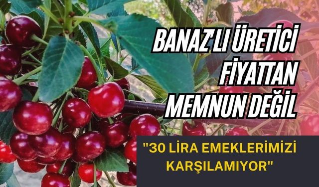 Banaz'lı Üretici Fiyattan Memnun Değil: "30 Lira Emeklerimizi Karşılamıyor"