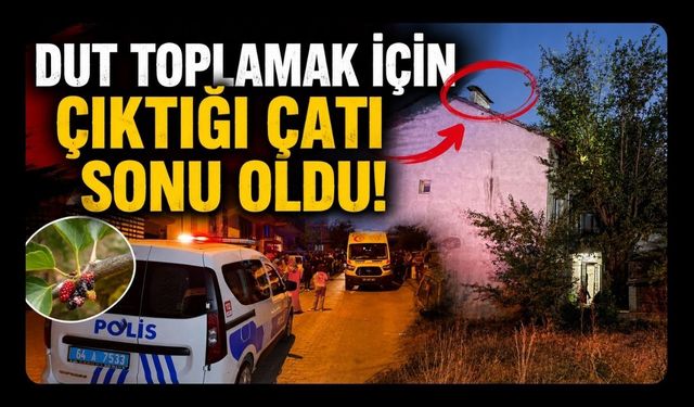 Dut Toplamak İçin Çıktığı Çatı Sonu Oldu! Uşak'ta 57 Yaşındaki Adam Hayatını Kaybetti