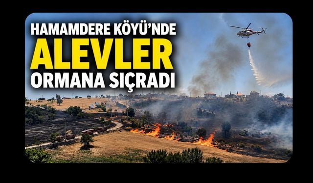 Hamamdere Köyü'nde Alevler Ormana Sıçradı