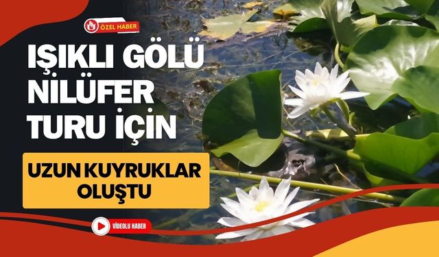 Işıklı Gölü Nilüfer Turu İçin Uzun Kuyruklar Oluştu