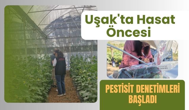 Uşak'ta Hasat Öncesi Pestisit Denetimleri Başladı