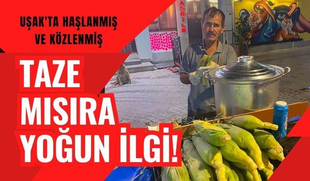 Uşak'ta Haşlanmış ve Közlenmiş Taze Mısıra Yoğun İlgi! Günlük Satışlar Arttı