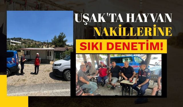 Uşak'ta Hayvan Nakillerine Sıkı Denetim! Kurallara Uymayanlara İdari İşlem