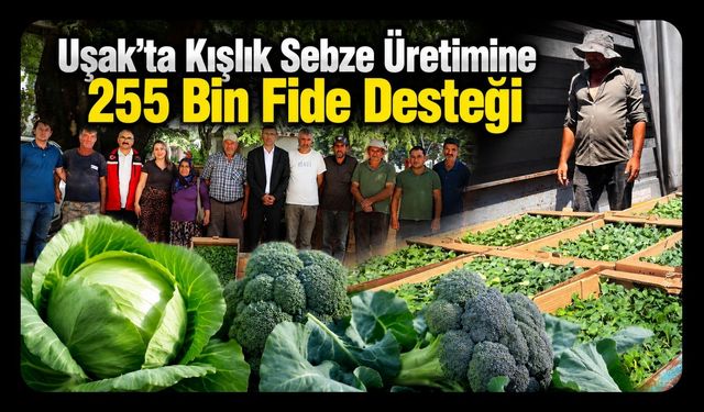 Uşak’ta Kışlık Sebze Üretimine 255 Bin Fide Desteği