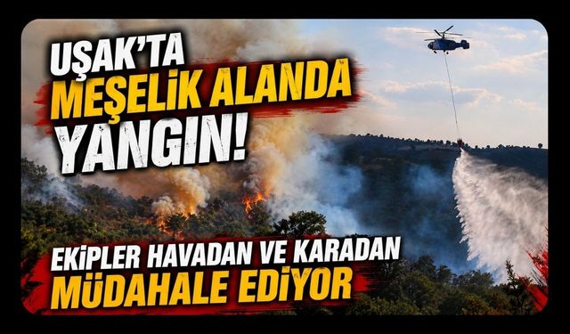 Uşak'ta Meşelik Alanda Yangın! Ekipler Havadan ve Karadan Müdahale Ediyor