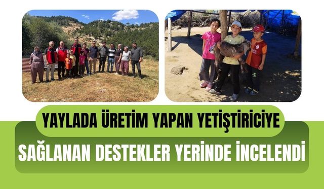 Yaylada Üretim Yapan Yetiştiriciye Sağlanan Destekler Yerinde İncelendi