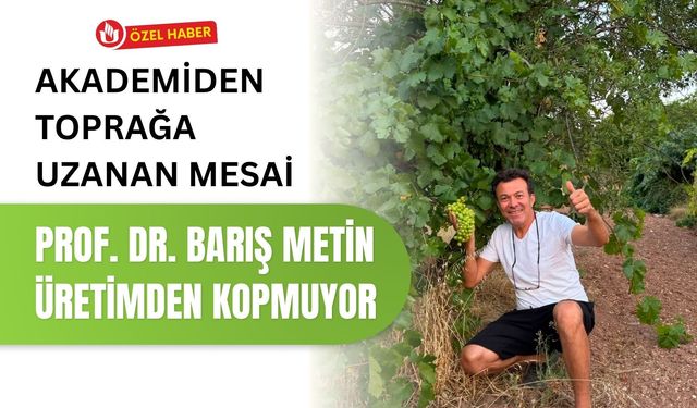 Akademiden Toprağa Uzanan Mesai, Prof. Dr. Barış Metin Üretimden Kopmuyor
