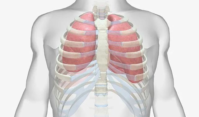 Atelektazi Nedir? Belirti Vermeden de Ortaya Çıkabiliyor