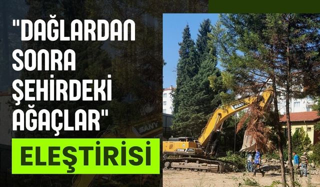 "Dağlardan Sonra Şehirdeki Ağaçlar" Eleştirisi