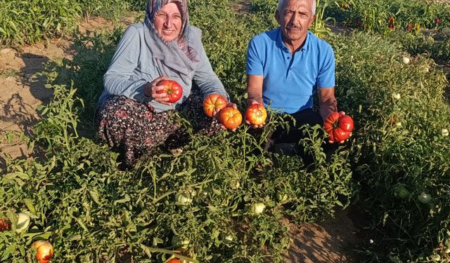 21 Yıl Sonra Köyüne Dönüp Çiftçiliğe Başladı, Bir Sezon Yetti: “Geldiğime Pişman Oldum”